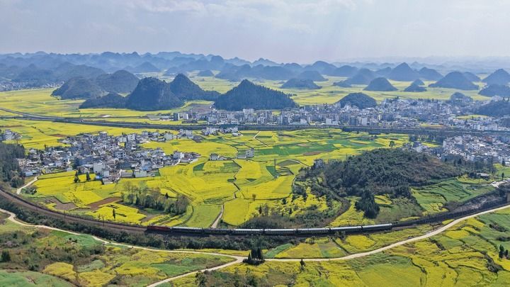 1772327494137036510.jpeg 202603013bd65ef5eb394abab5740a95d99fb3f9_202603019e0e8660e70d45af894e586b53722b83.jpeg