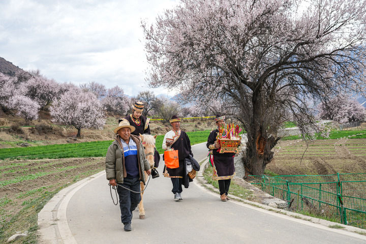 1772327519789056057.jpeg 202603013bd65ef5eb394abab5740a95d99fb3f9_20260301154988c0445546c2bc04d6305a2887e1.jpeg